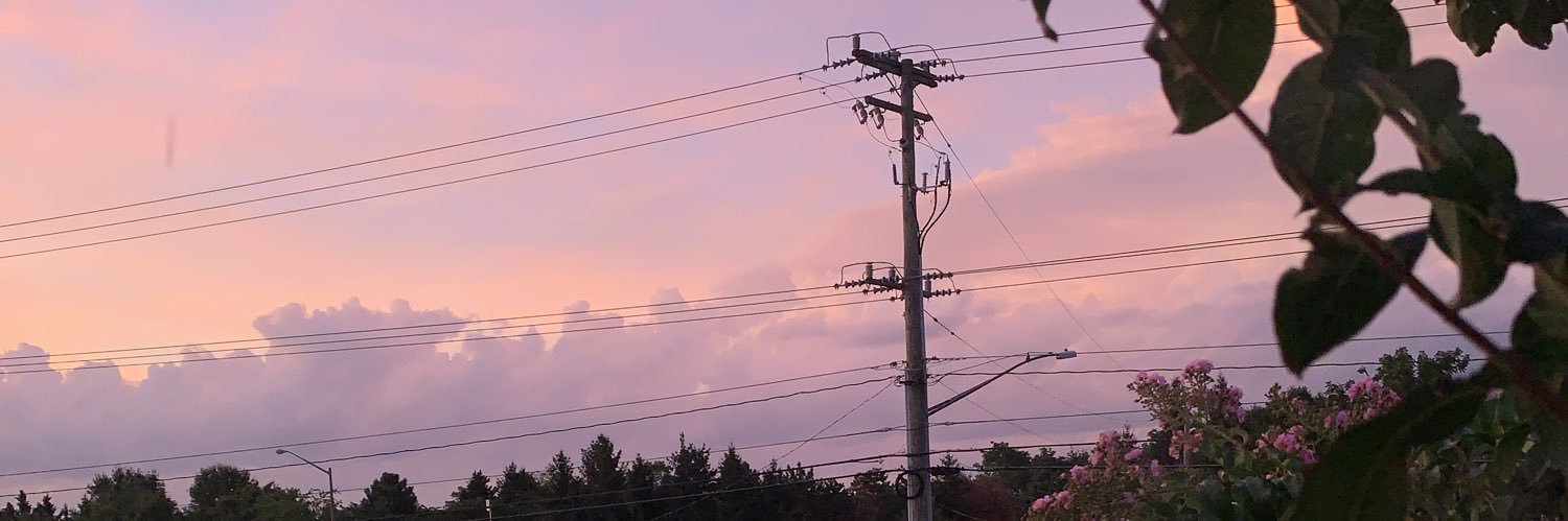 MacyFoxwell's profile banner image