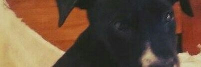 LuliGamboaa's profile banner image