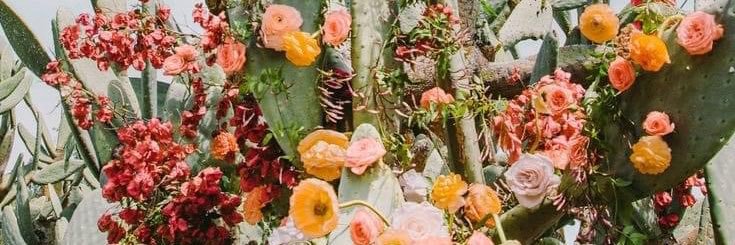 EmilyRumpel's profile banner image
