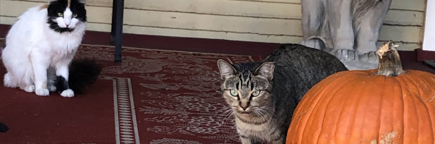 Laura Stolmeier banner