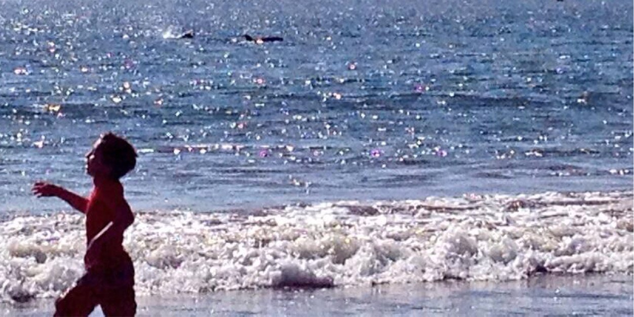 REVEREND Roydizzle banner