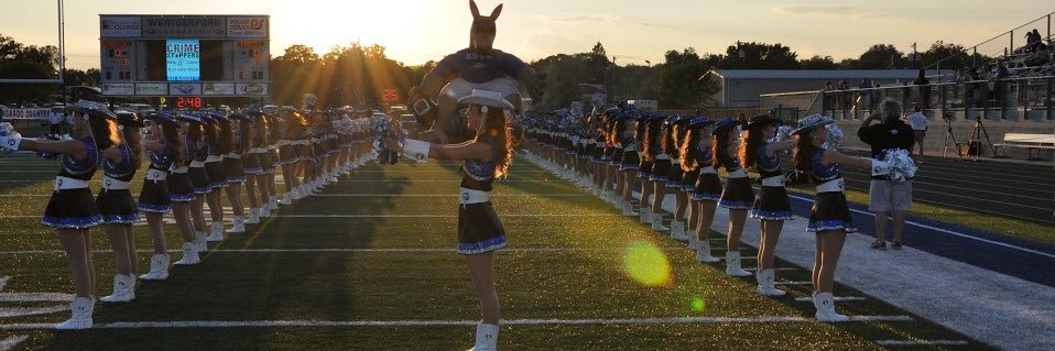 WHSBlueBelles's profile banner image