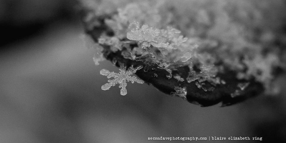 SecondAvePhotog's profile banner image