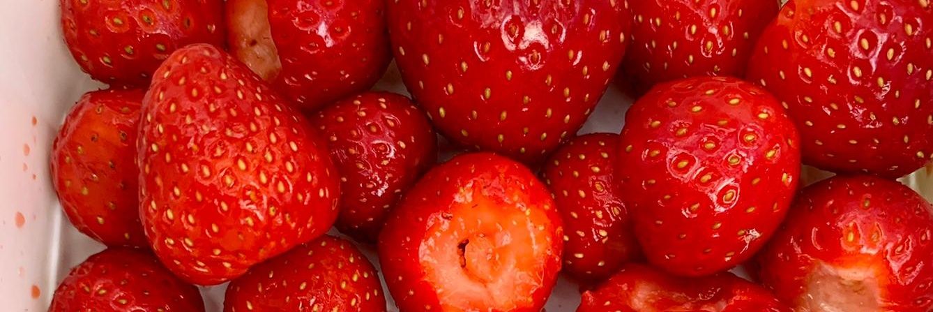 Mikaela Wiik banner