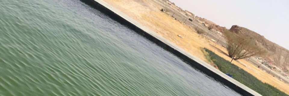 rooomanse's profile banner image
