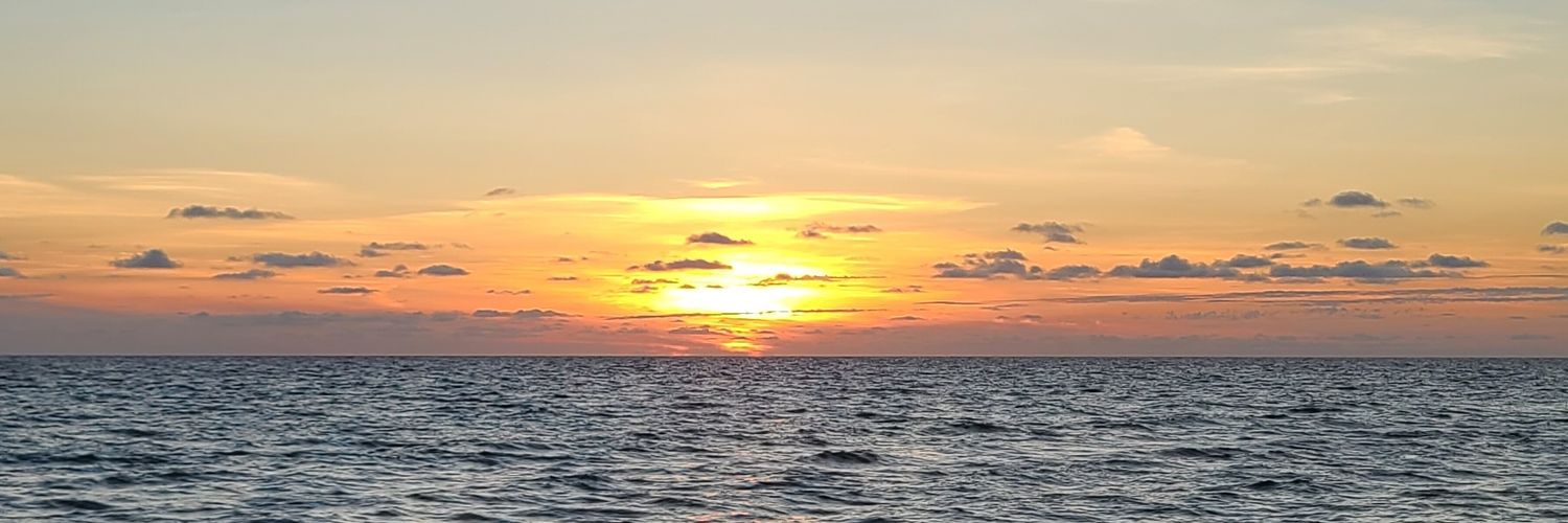 bayexposure's profile banner image