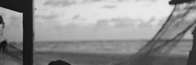 PriskaZC's profile banner image
