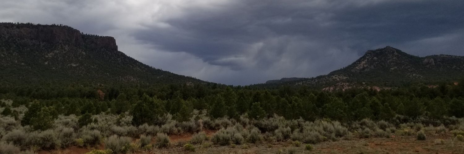 Stacy Thacker banner