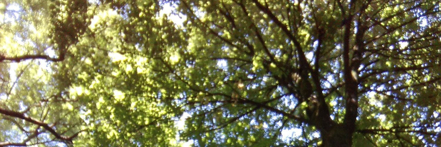 potiermelissa's profile banner image
