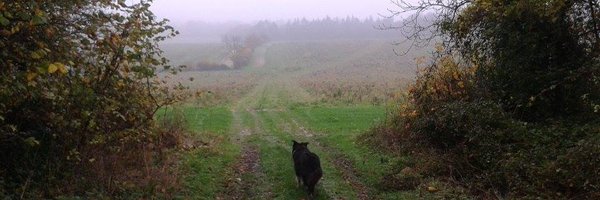 ginabchallen Profile Banner