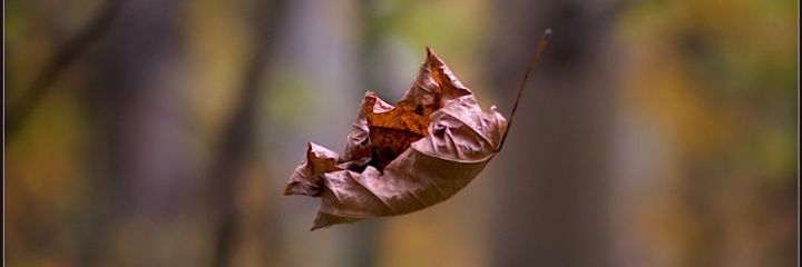 aguaysedd's profile banner image