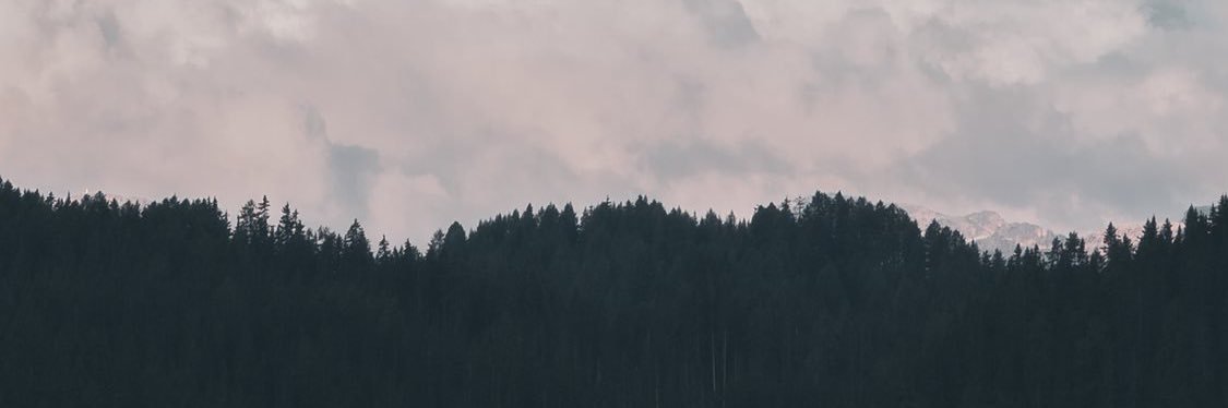 corrine_day's profile banner image