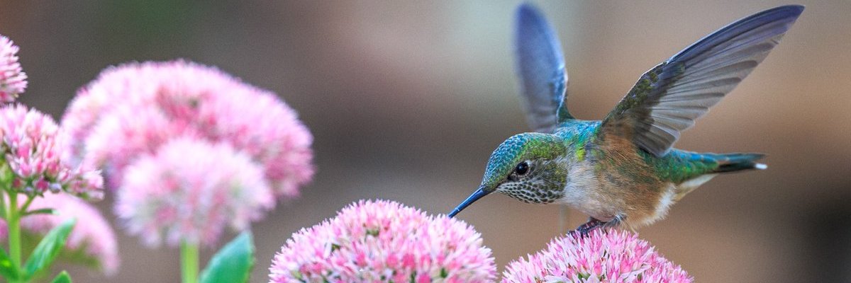 MarnaDavis760's profile banner image