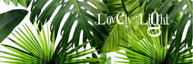 LOVELY_LIGHT_MX's profile banner image