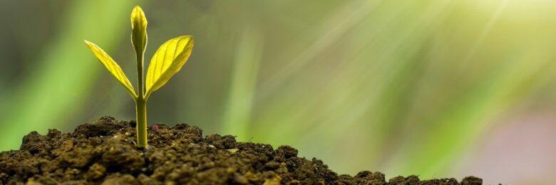Efe__Esat's profile banner image