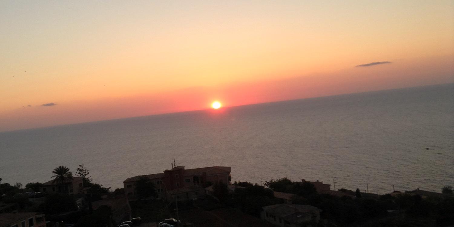 Patricia Bruzon banner