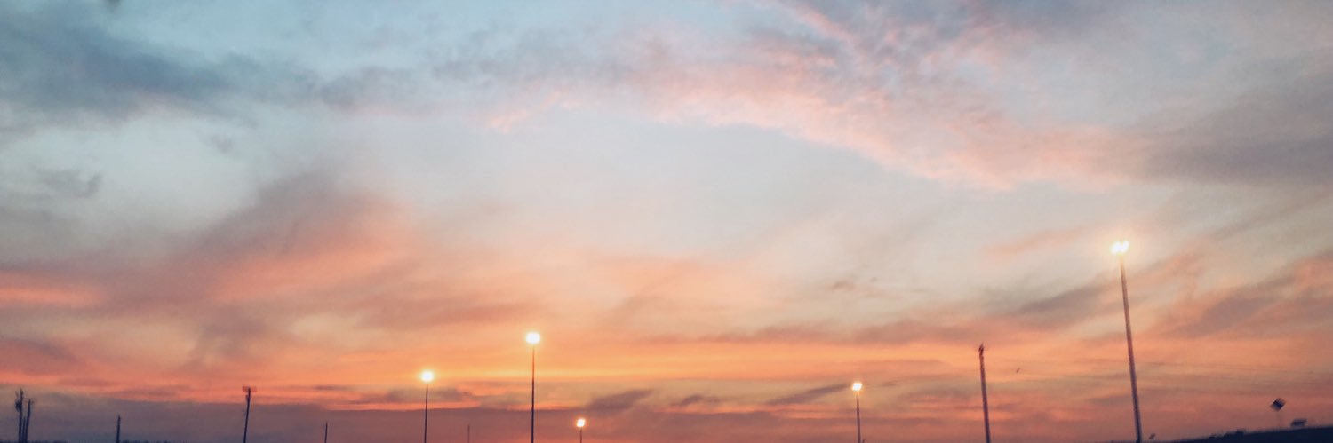 MelVidovich's profile banner image