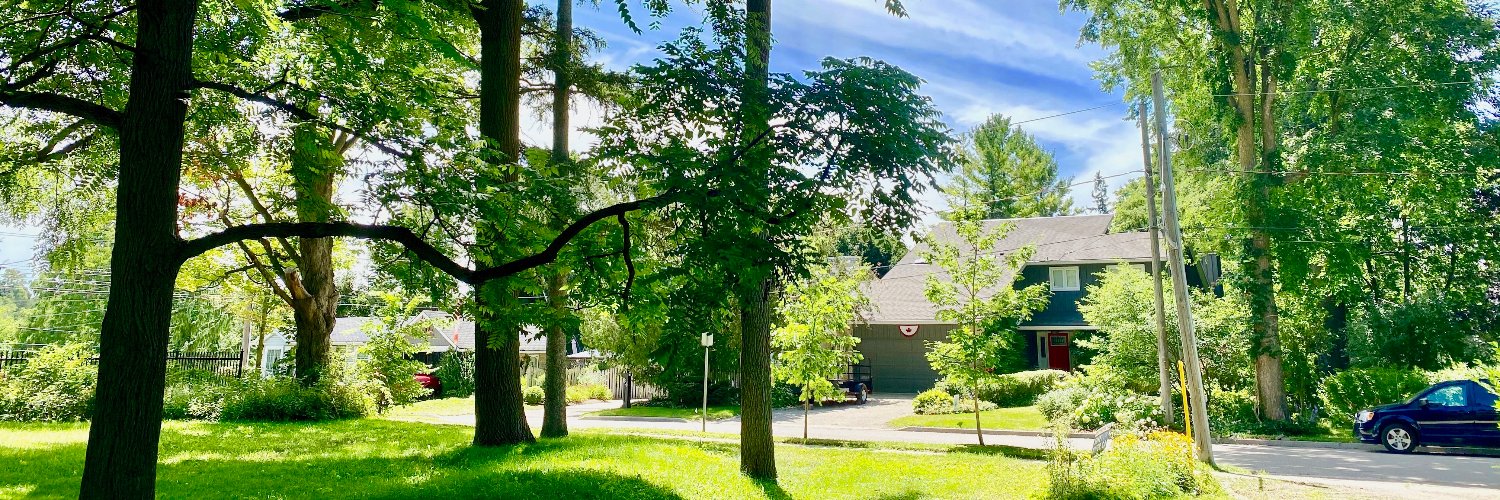 Neighbourwoods's profile banner image