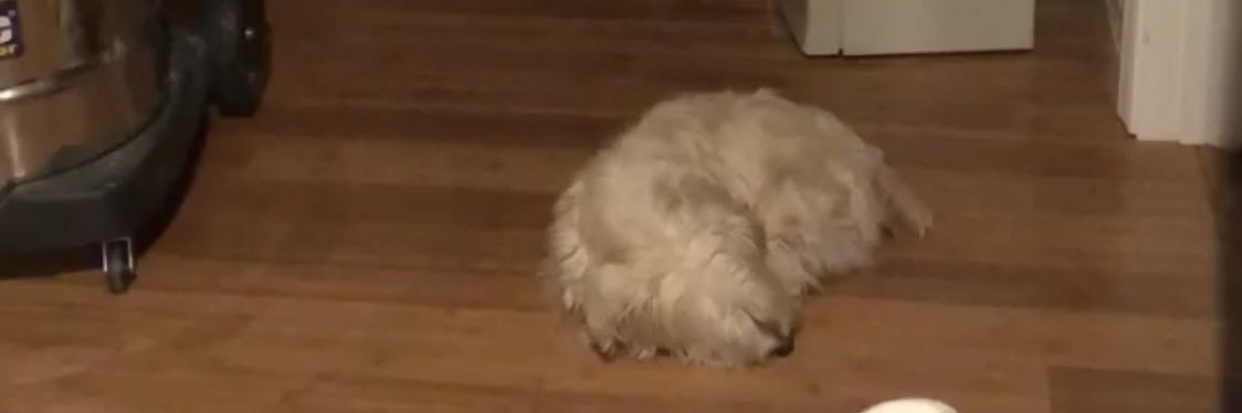 leoo_rocha3's profile banner image