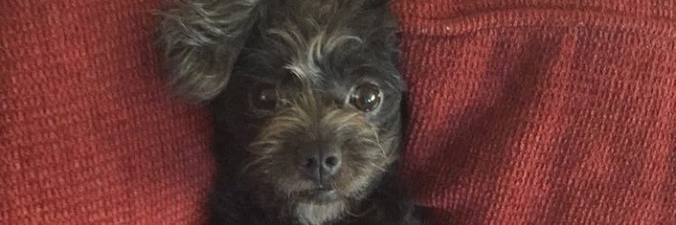 NarimanEsayed's profile banner image