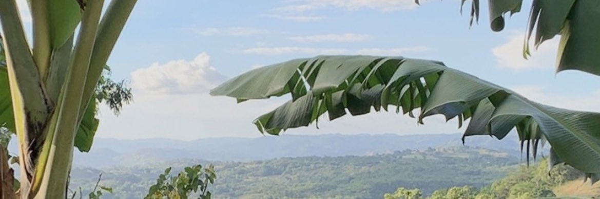 abbienaomi's profile banner image