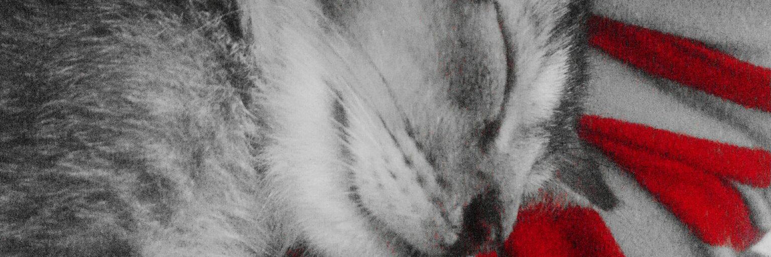 loveself90's profile banner image