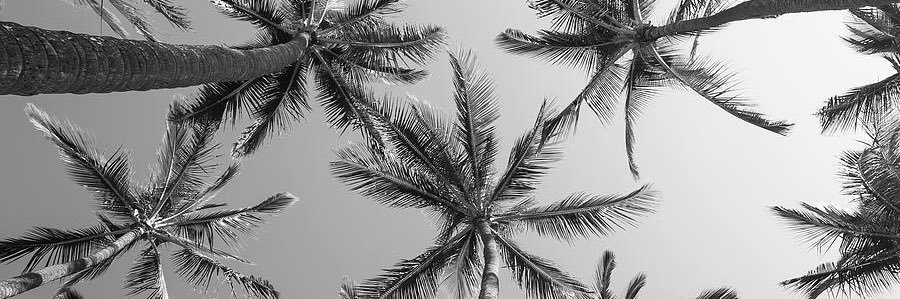 Ian_Strong11's profile banner image