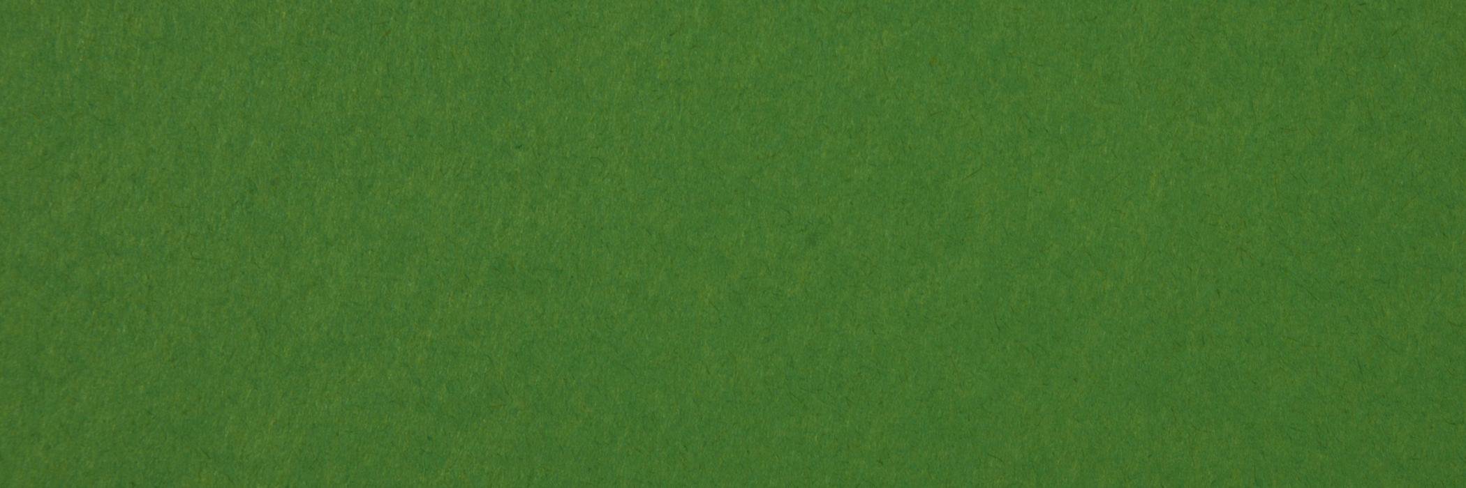 xedPLUS's profile banner image