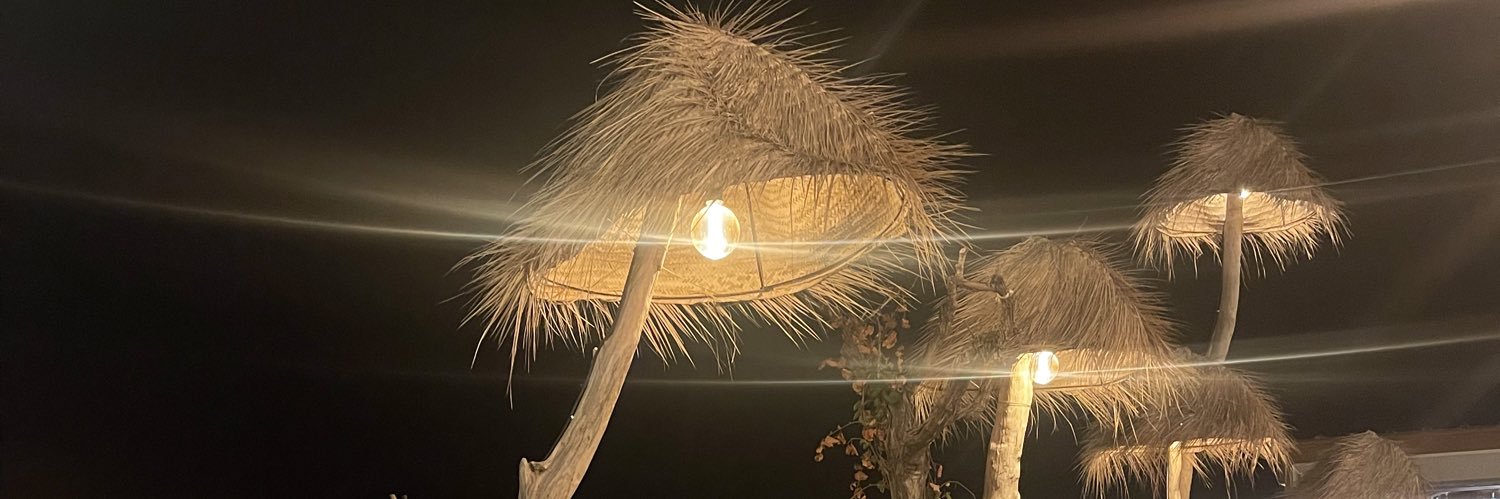 ju_odina's profile banner image