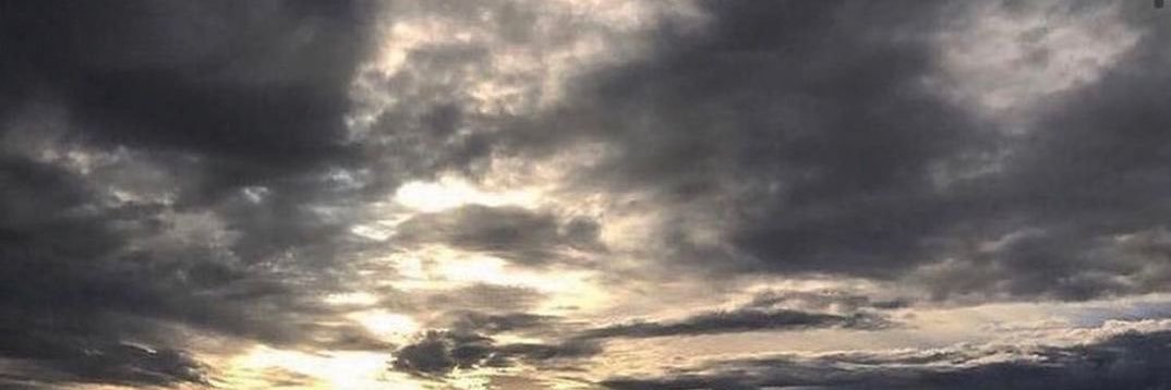 antmans_oranges's profile banner image