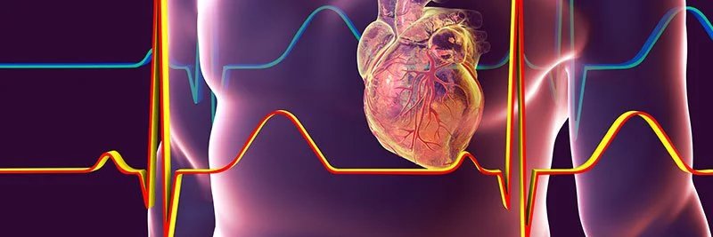 Mohamed Farag banner