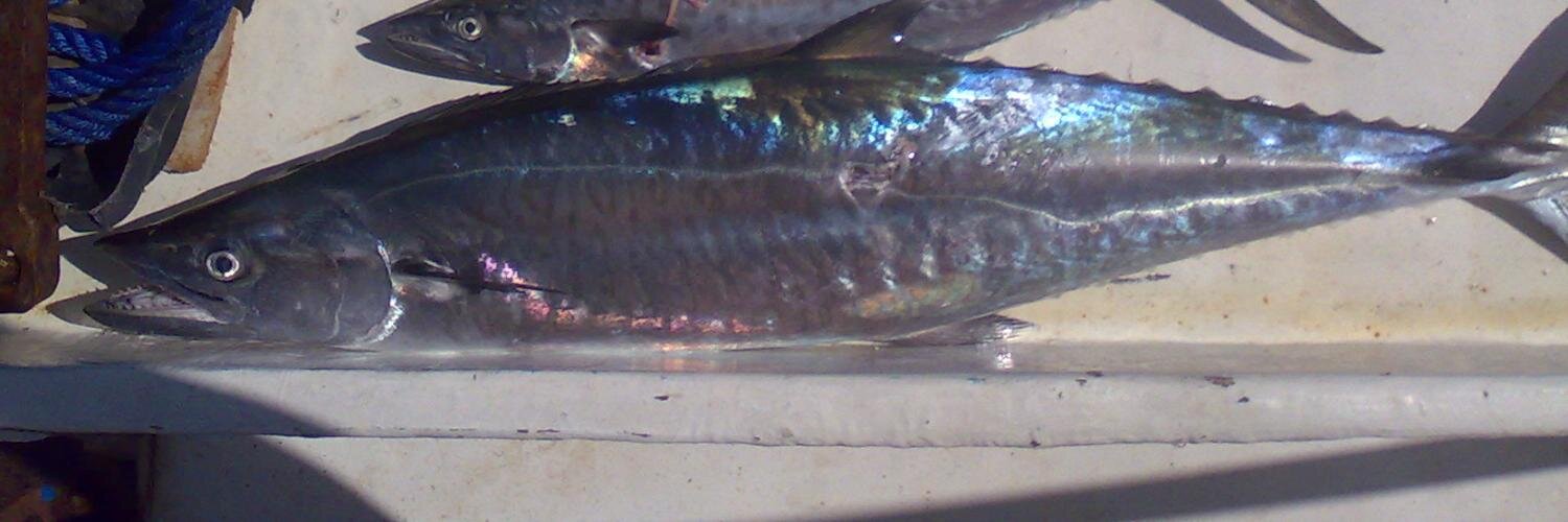 deepspearos's profile banner image