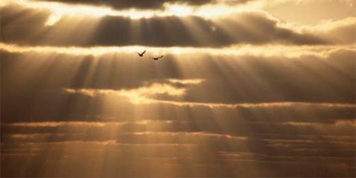 Julie H. ✝️💜🇺🇲🇮🇱🍊 banner