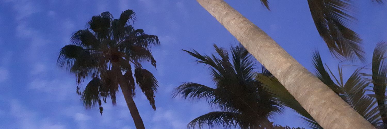 LoPiet1970's profile banner image