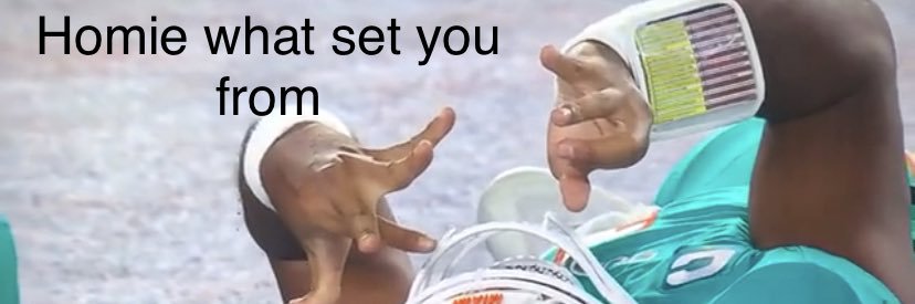 BirdLawDS's profile banner image