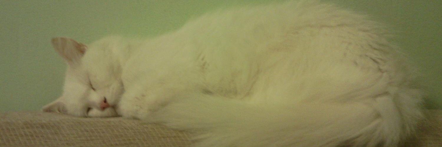 sibel ertuğrul banner