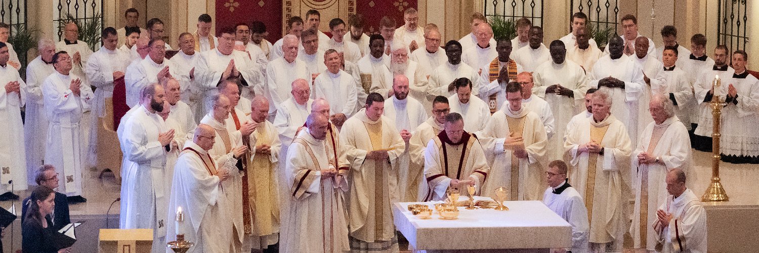 Des Moines Diocese banner