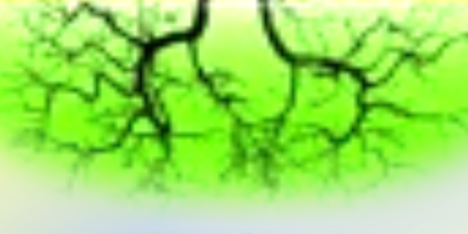 inourlifetime's profile banner image