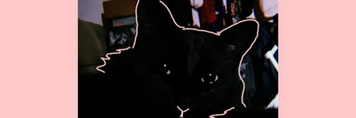 pezcadena's profile banner image