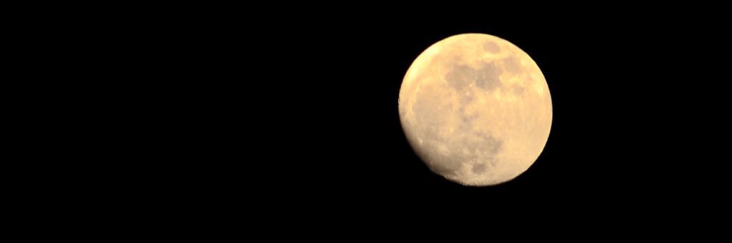 yelahear's profile banner image