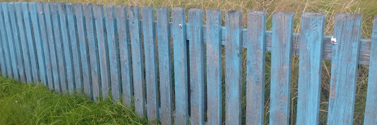 Imogen Forster banner