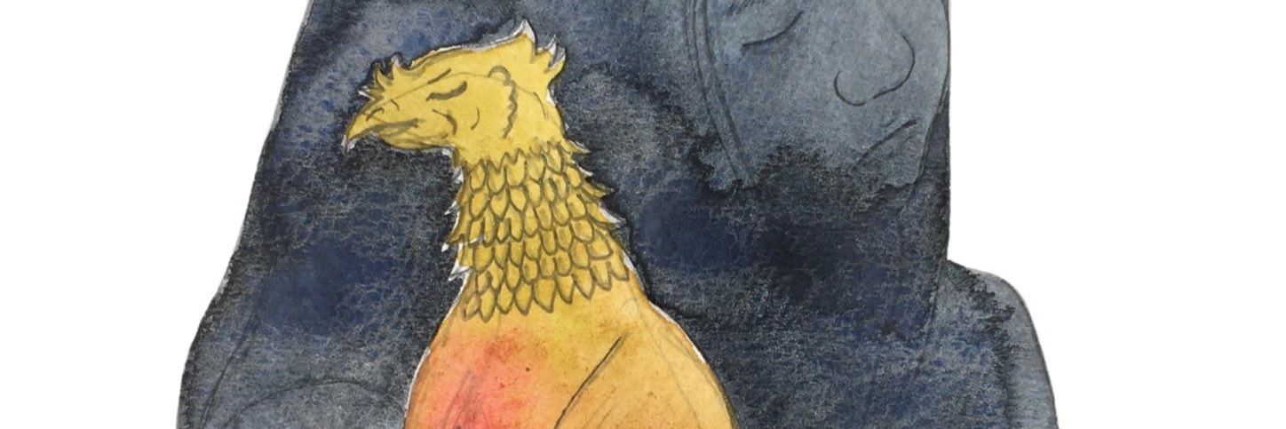 ucicomb's profile banner image