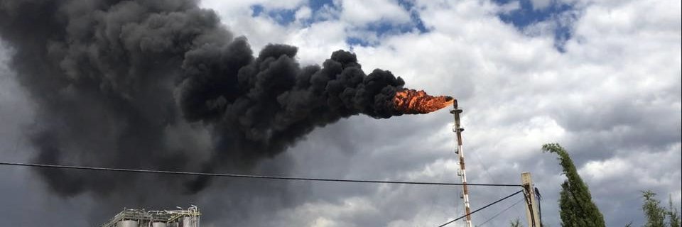 Plataforma Cel Net banner