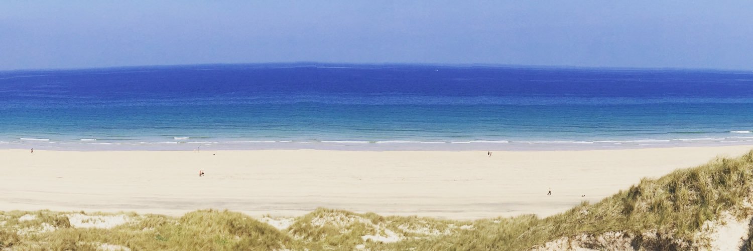 Viki Carpenter banner