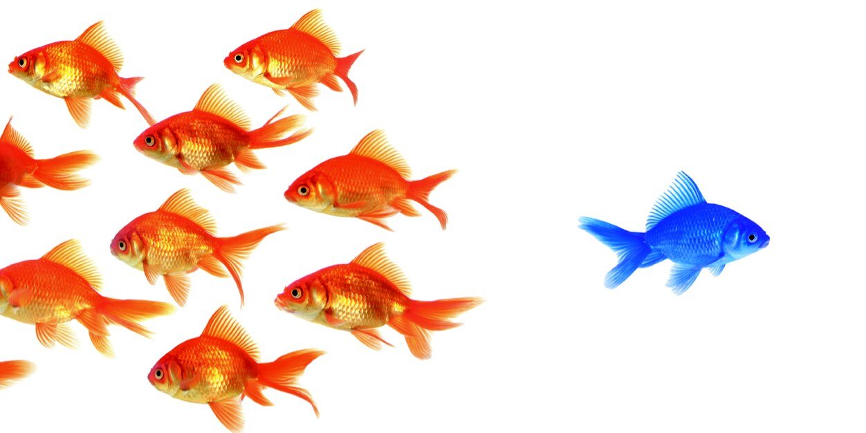 frauke milbrecht banner