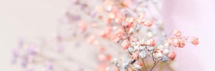 feminisyen's profile banner image