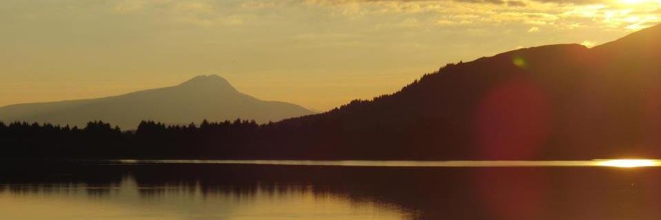 Rachel Hartley banner