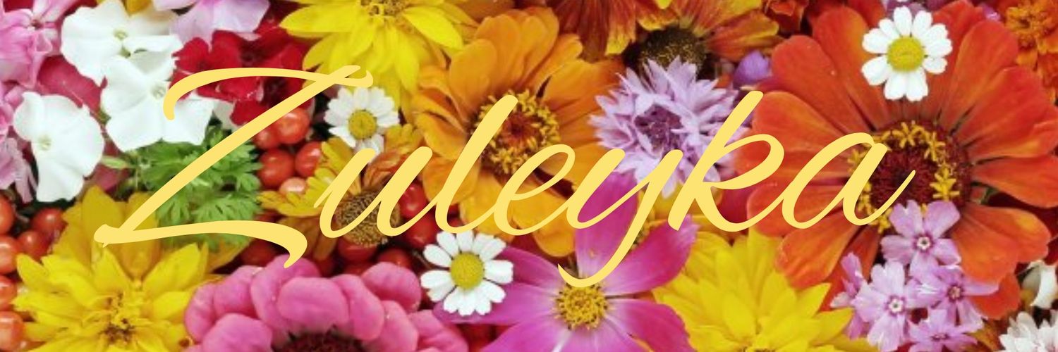Zuly_Pastry's profile banner image