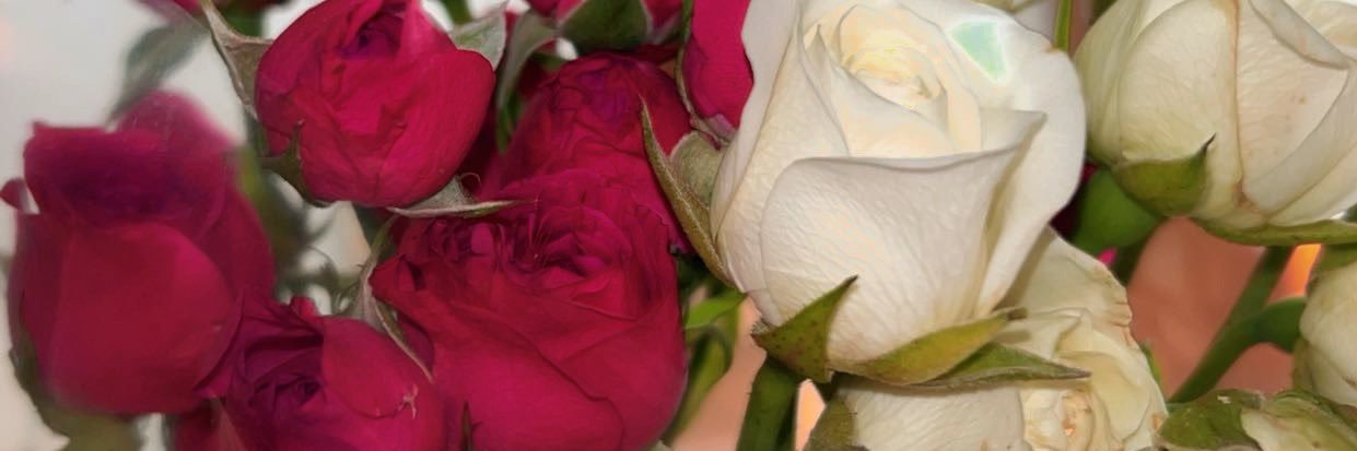 Bella_Candy15's profile banner image