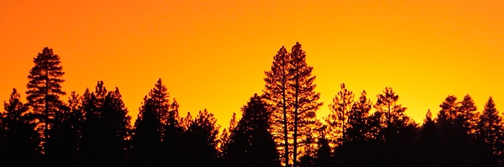 Patrick Kimberlin banner